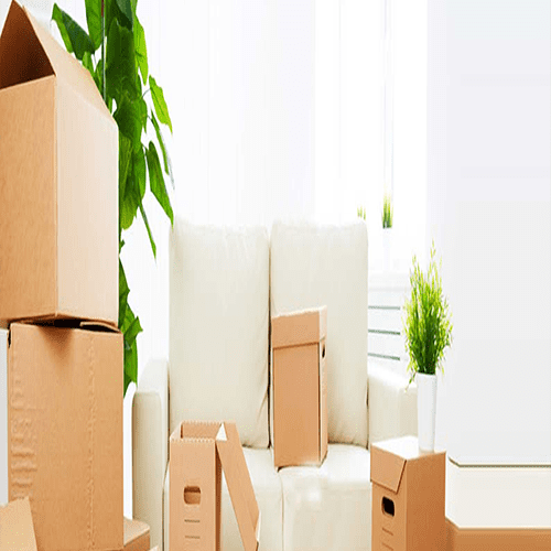 Find local movers and local moving companies 2024 doha movers